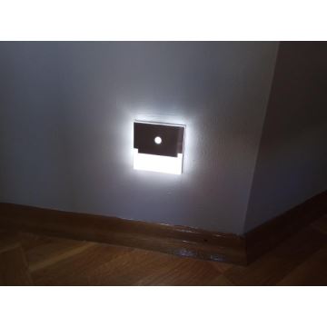 LED Stubišna svjetiljka sa senzorom LED/0,8W/12V 3000K