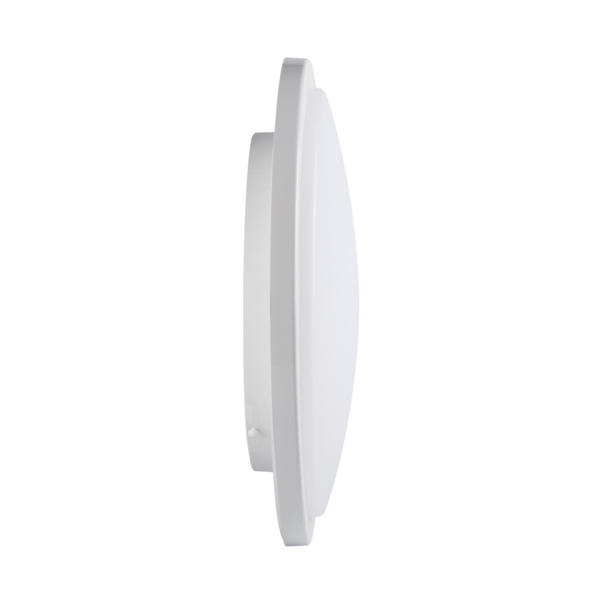 LED Stropna svjetiljka za kupaonicu ORTE LED/24W/230V IP54