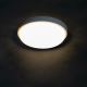 LED Stropna svjetiljka za kupaonicu TOLU LED/9W/230V 4000K IP54 bijela