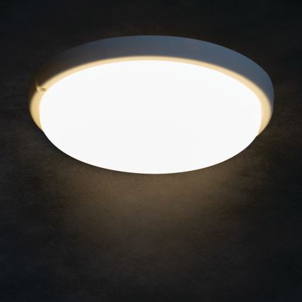 LED Stropna svjetiljka za kupaonicu TOLU LED/18W/230V 4000K IP54 bijela