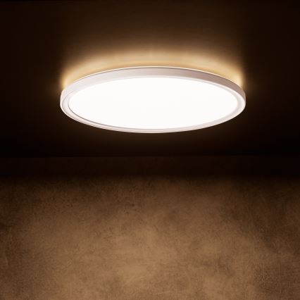 LED stropna svjetiljka AZPO LED/11,8W/230V s izborom 3000/4000/6000K, Ø 22,5 cm, IP54, bijela