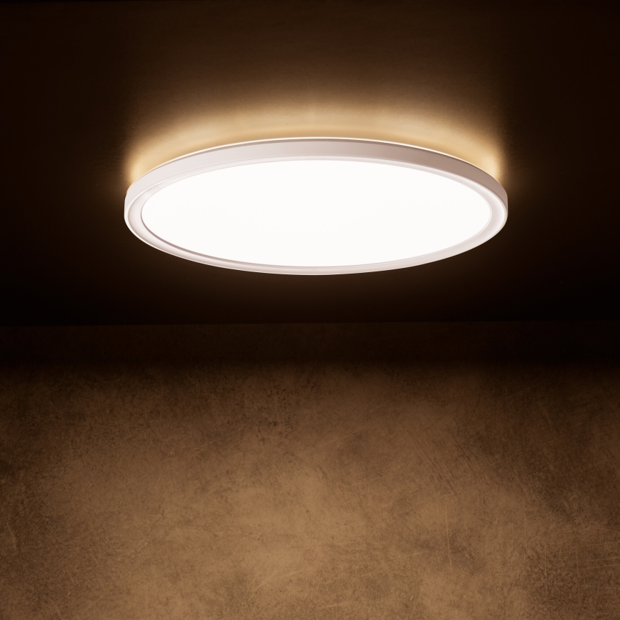 LED stropna svjetiljka AZPO LED/11,8W/230V s izborom 3000/4000/6000K, Ø 22,5 cm, IP54, bijela