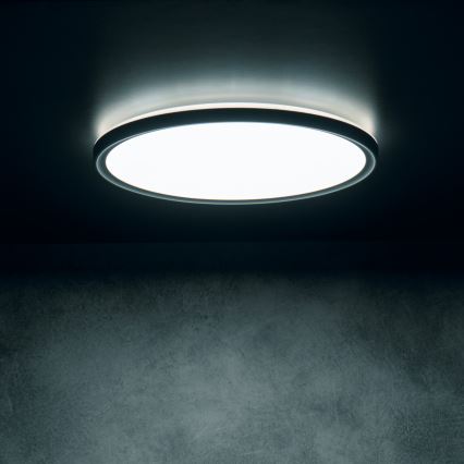 LED stropna svjetiljka AZPO LED/11,8W/230V 3000/4000/6000K prom. 22,5 cm IP54 crna