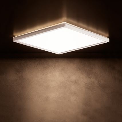 LED stropna svjetiljka AZPO LED/22W/230V 3000/4000/6000K 42x42 cm IP54 bijela