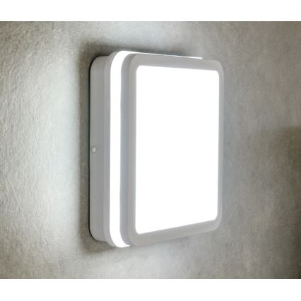 LED Vanjska svjetiljka BENO LED/18W/230V 4000K bijela IP54