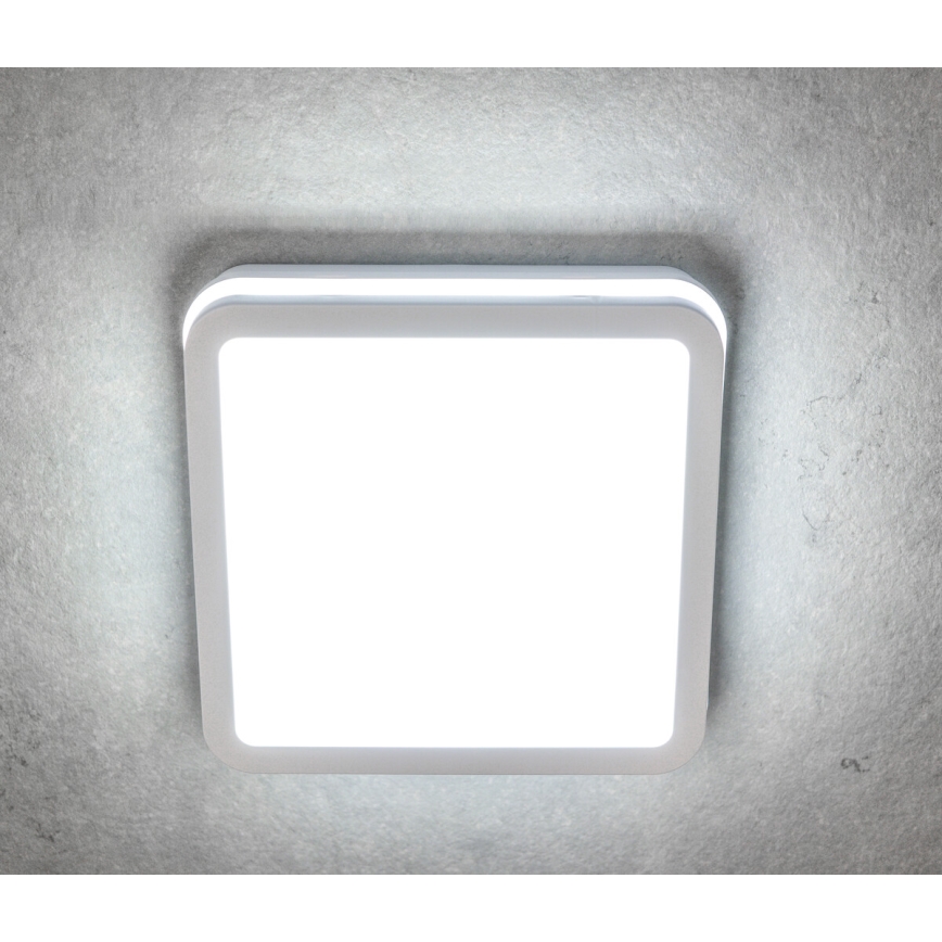 LED Vanjska svjetiljka sa senzorom BENO LED/18W/230V 4000K bijela IP54