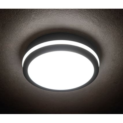 LED Vanjska svjetiljka sa senzorom BENO LED/18W/230V 4000K antracit IP54