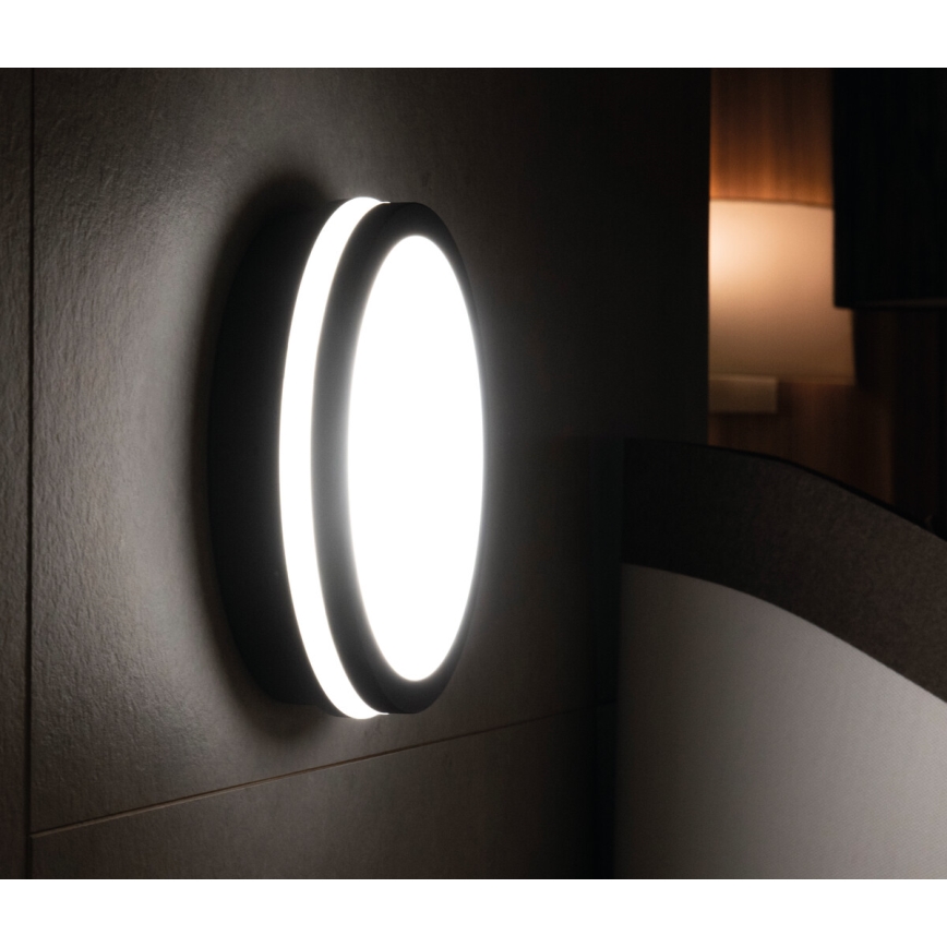LED Vanjska svjetiljka BENO LED/24W/230V 4000K antracit IP54