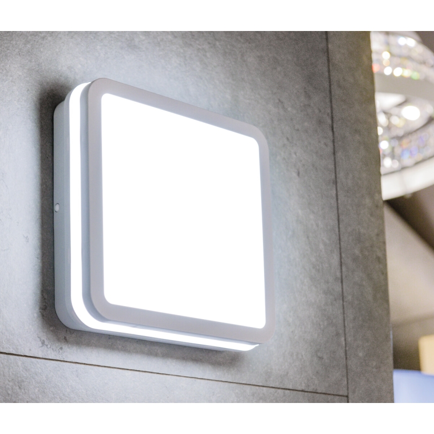 LED Vanjska svjetiljka BENO LED/24W/230V 4000K bijela IP54