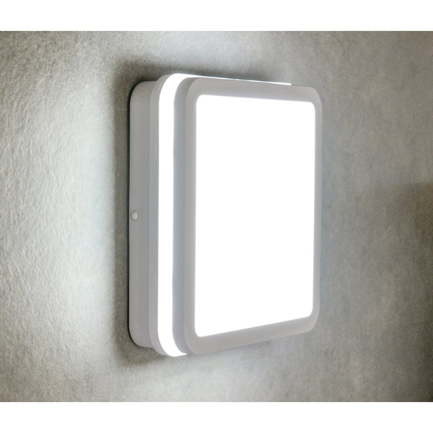 LED Vanjska svjetiljka BENO LED/24W/230V 4000K bijela IP54