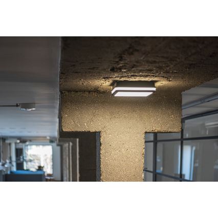 LED Vanjska svjetiljka BENO LED/24W/230V 4000K antracit IP54