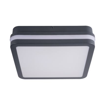 LED Vanjska svjetiljka sa senzorom BENO LED/24W/230V 4000K antracit IP54