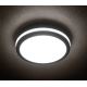 LED Vanjska svjetiljka BENO LED/18W/230V 3000K antracit IP54