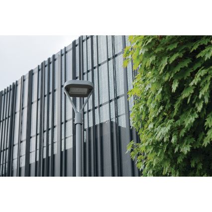 LED Ulična svjetiljka PARCOLI LED/30/40/50W/230V 3000/4000/6500K IP66 siva