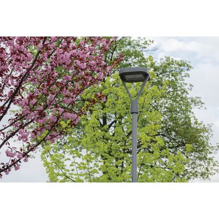 LED Ulična svjetiljka PARCOLI LED/30/40/50W/230V 3000/4000/6500K IP66 siva