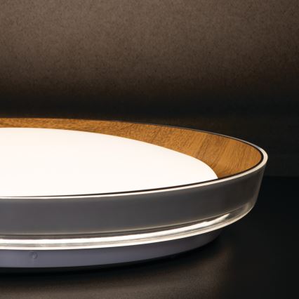 LED Stropna svjetiljka NIFU LED/17,8W/230V pr. 43 cm bijela/smeđa