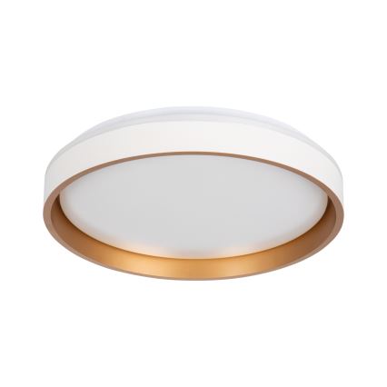 LED Stropna svjetiljka SOLN LED/17,5W/230V pr. 38 cm bijela/zlatna