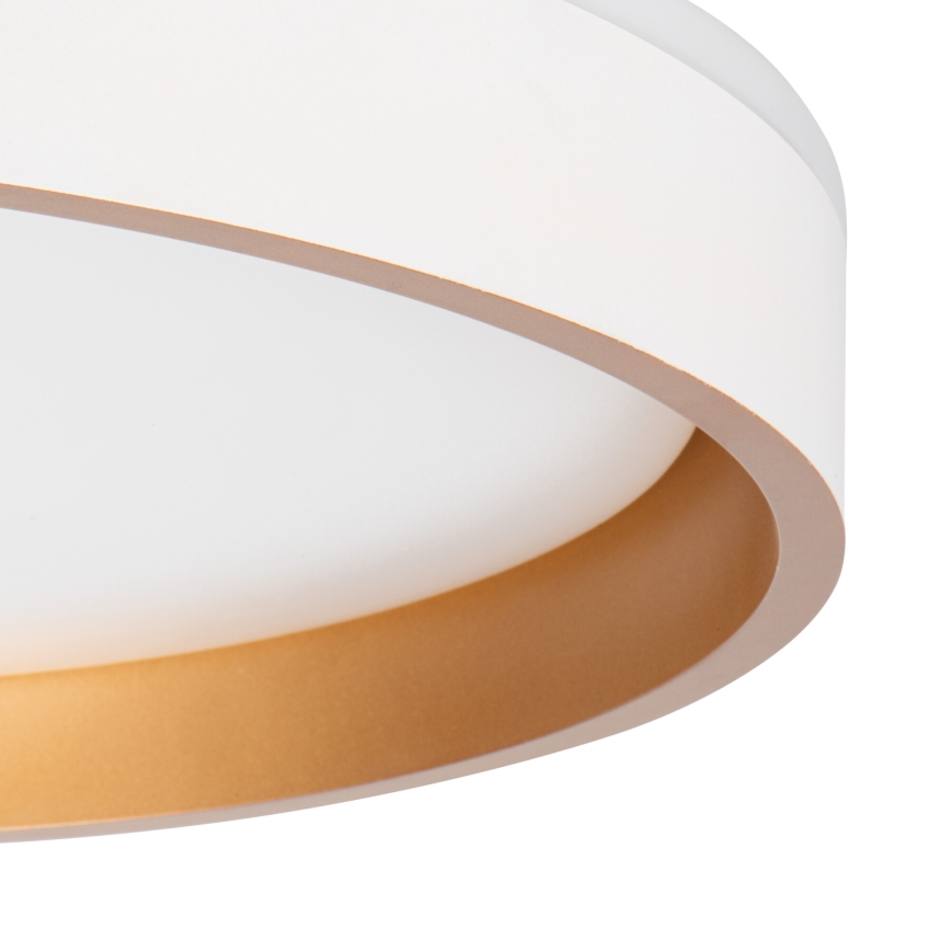LED Stropna svjetiljka SOLN LED/17,5W/230V pr. 38 cm bijela/zlatna