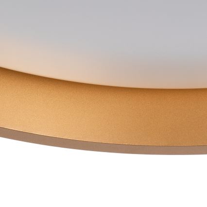 LED Stropna svjetiljka SOLN LED/17,5W/230V pr. 38 cm bijela/zlatna