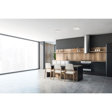 LED Vanjska stropna svjetiljka BENO ECO LED/20W/230V 3000/4000/6500K pr. 20 cm IP65 bijela