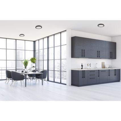 LED Vanjska stropna svjetiljka BENO ECO LED/20W/230V 3000/4000/6500K pr. 20 cm IP65 crna