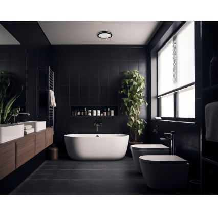 LED Vanjska stropna svjetiljka BENO ECO LED/20W/230V 3000/4000/6500K pr. 20 cm IP65 crna