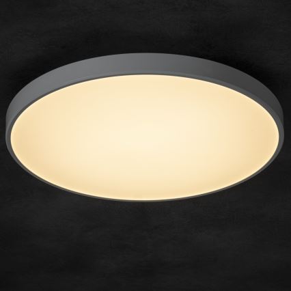 LED Prigušiva stropna svjetiljka PLAFON LED/20W/230V 3000-6500K Wi-Fi bijela
