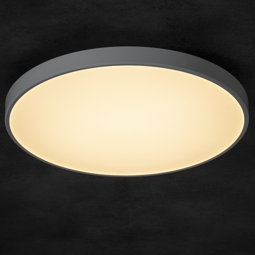 LED Prigušiva stropna svjetiljka PLAFON LED/20W/230V 3000-6500K Wi-Fi bijela