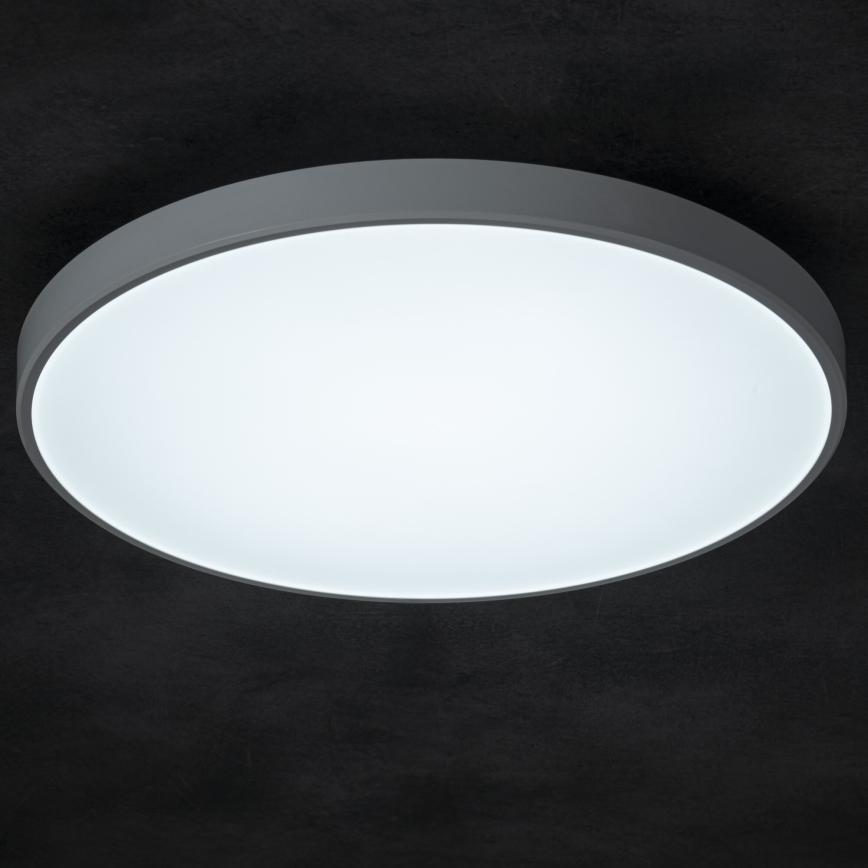 LED Prigušiva stropna svjetiljka PLAFON LED/20W/230V 3000-6500K Wi-Fi bijela