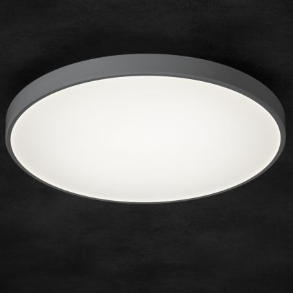 LED Prigušiva stropna svjetiljka PLAFON LED/20W/230V 3000-6500K Wi-Fi bijela