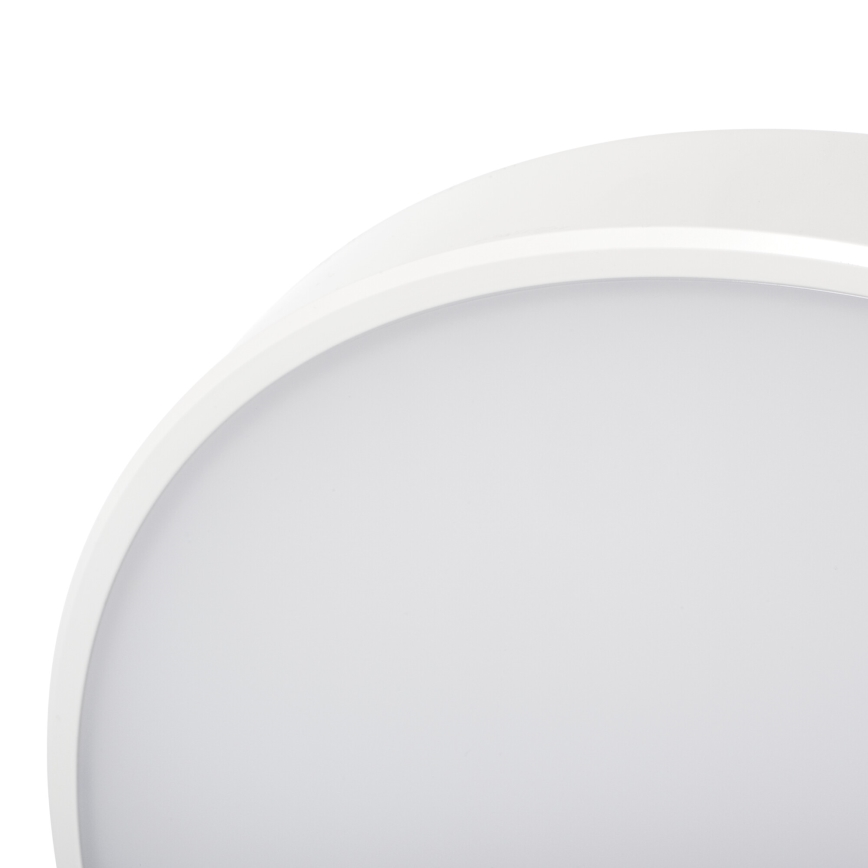 LED Prigušiva stropna svjetiljka PLAFON LED/20W/230V 3000-6500K Wi-Fi bijela