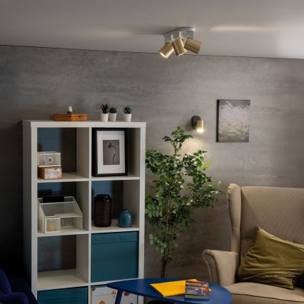 Zidna reflektorska svjetiljka LAURIN 1xGU10/10W/230V mesing/crna