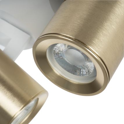 Reflektorska svjetiljka LAURIN 3xGU10/10W/230V mesing/bijela