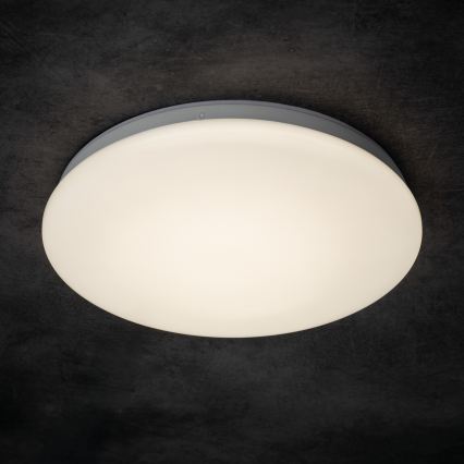LED stropno svjetlo za kupaonicu ENELO LED/17W/230V Ø 32 cm IP44