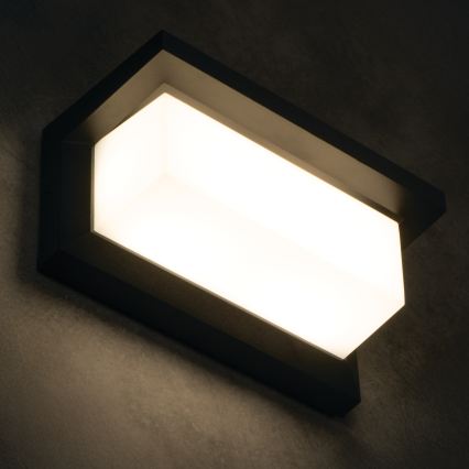 LED vanjsko zidno svjetlo LERTO LED/12W/230V IP54 crno