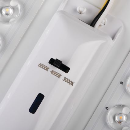 LED Stropna svjetiljka LINCEA LED/15/20/24W/230V 3000/4000/6500K IK08 IP40