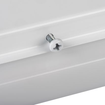 LED Stropna svjetiljka LINCEA LED/15/20/24W/230V 3000/4000/6500K IK08 IP40