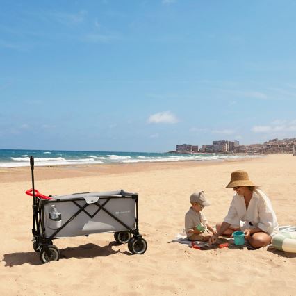 KINDERKRAFT - Sklopiva prevozna kolica WAGON ROLLSTER siva