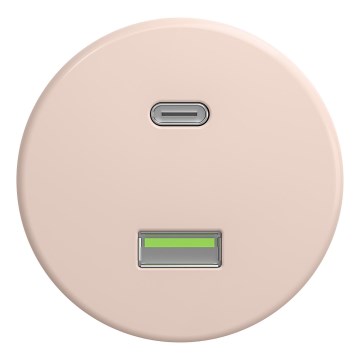 Kliklap - Retro USB utičnica A+C bez okvira staroružičasta