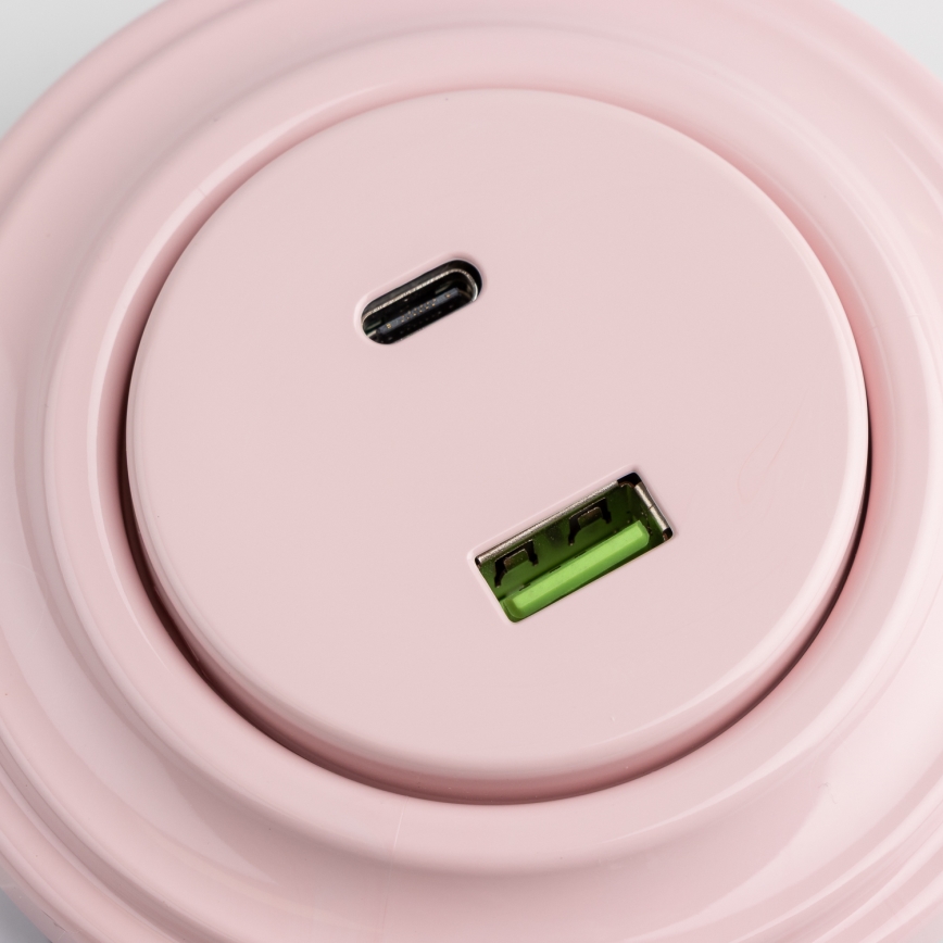 Kliklap - Retro USB utičnica A+C s okvirom staroružičasta