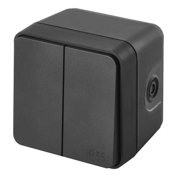 Kućni 2‑tipkasti naizmjenični prekidač br. 6+6 IP55 antracit