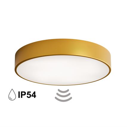 Kupaonska stropna svjetiljka sa senzorom CLEO 4xE27/24W/230V, promjer 50 cm, IP54, zlatna