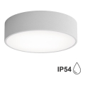 Kupaonsko stropno svjetlo CLEO sa senzorom, 2xE27/24W/230V, promjer 30 cm, siva, IP54