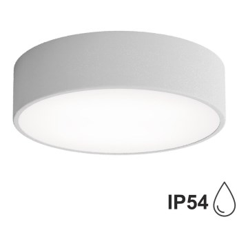 Kupaonsko stropno svjetlo CLEO sa senzorom, 2xE27/24W/230V, promjer 30 cm, siva, IP54