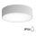 Kupaonsko stropno svjetlo CLEO sa senzorom, 2xE27/24W/230V, promjer 30 cm, siva, IP54