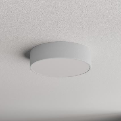 Kupaonsko stropno svjetlo CLEO sa senzorom, 2xE27/24W/230V, promjer 30 cm, siva, IP54