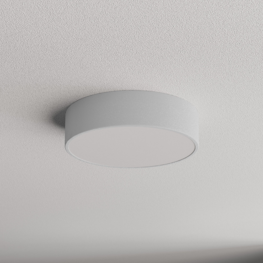 Kupaonsko stropno svjetlo CLEO sa senzorom, 2xE27/24W/230V, promjer 30 cm, siva, IP54
