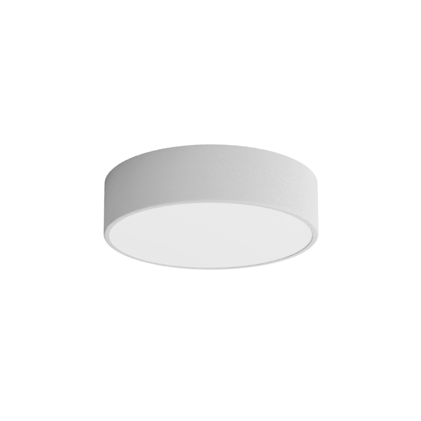 Kupaonsko stropno svjetlo CLEO sa senzorom, 2xE27/24W/230V, promjer 30 cm, siva, IP54