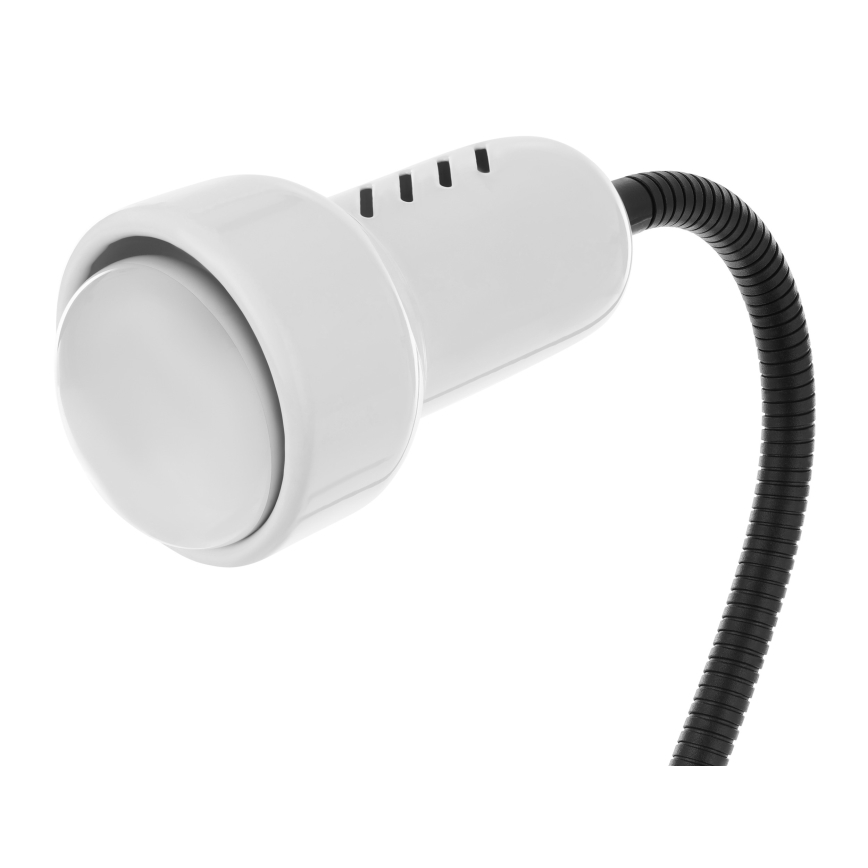 Lampa sa kvačicom LOLEK 1xE14/24W/230V bijela