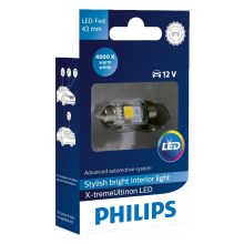 LED Auto žarulja Philips X-TREME VISION 129454000KX1 C5W SV8,5/1W/12V 4000K